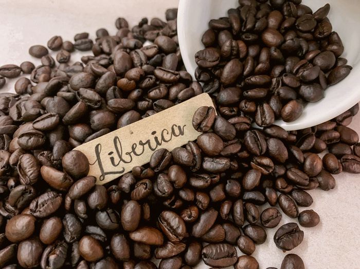 Experimente los sabores audaces del café Liberica